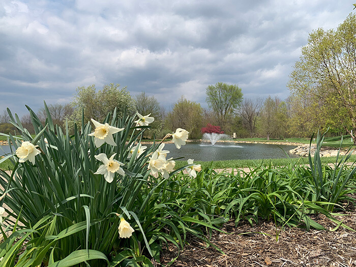 Beautifully landscaped grounds