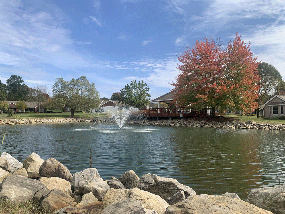 Beautifully landscaped grounds