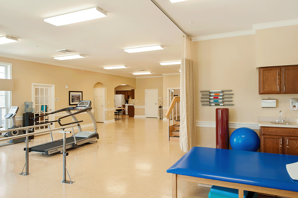 therapy gym1 resize