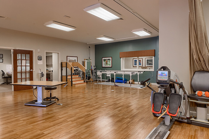 Physical, occupational and speech therapies