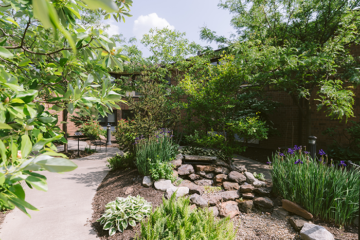 Courtyard 