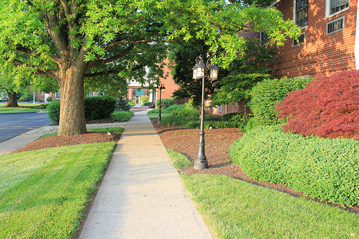 Beautifully landscaped grounds