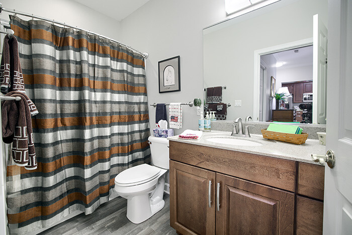Brownstone Bathroom